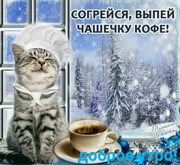 Доброе Снежное утро и хорошего дня