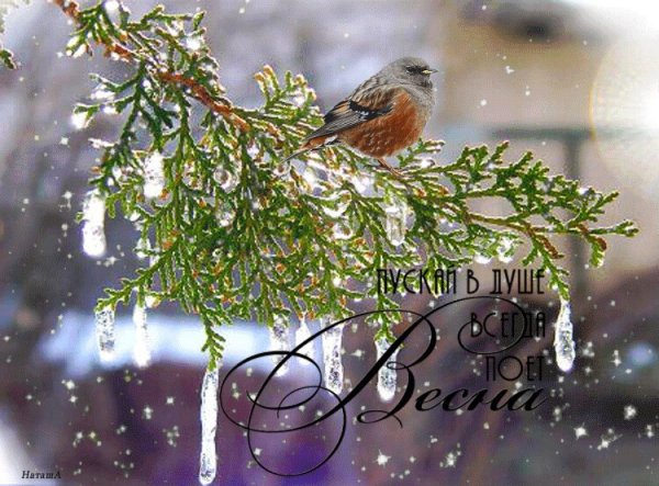 С добрым весенним зимним утром