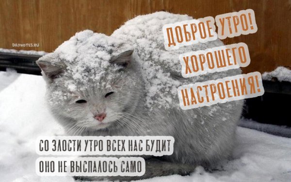 Снежное утро картинки с надписью прикольные