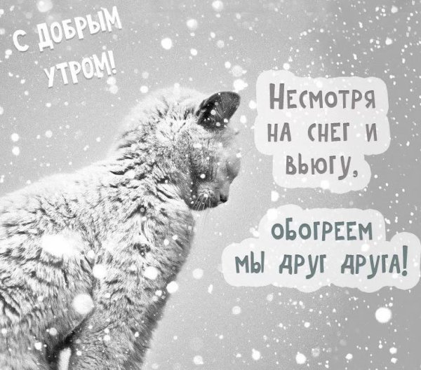 Доброе утро зимнее прикольное