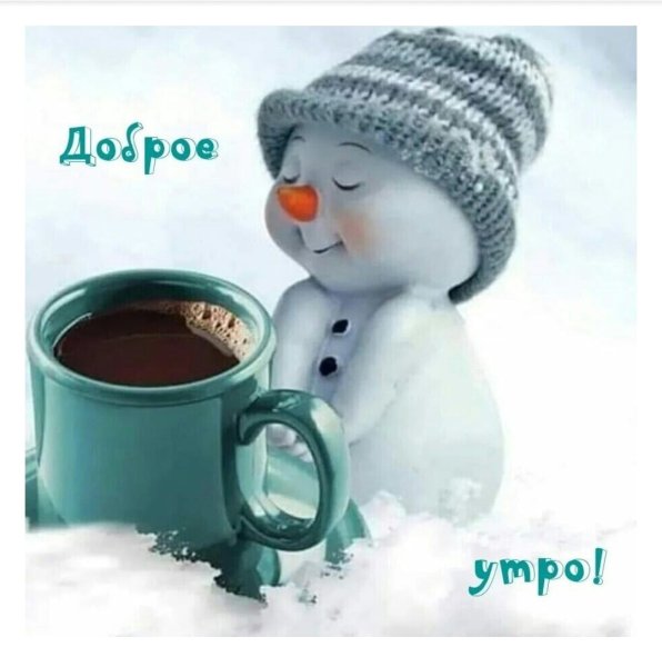 Снежное утро