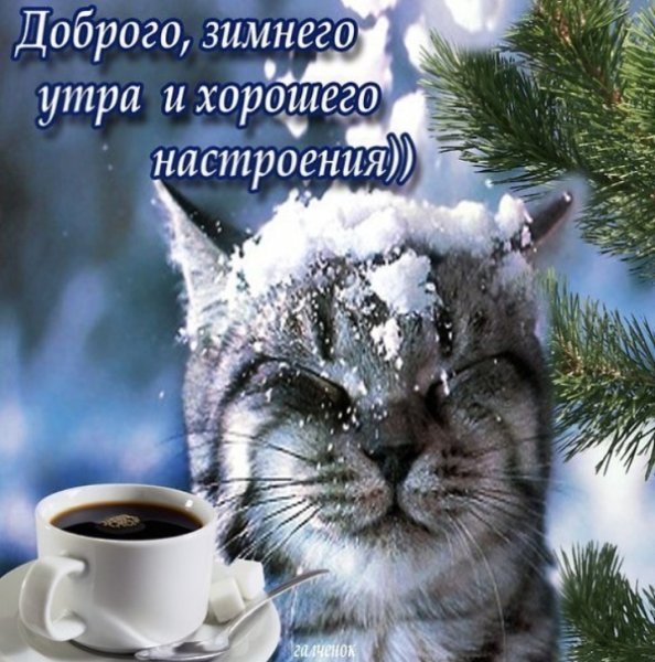 С добрым зимним утром