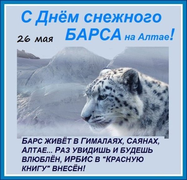 День снежного Барса 23 октября