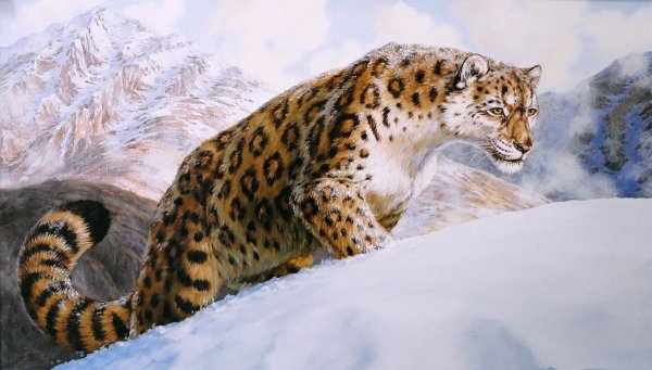 Снежный Барс в горах арт