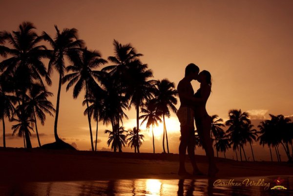 Море пальмы любовь