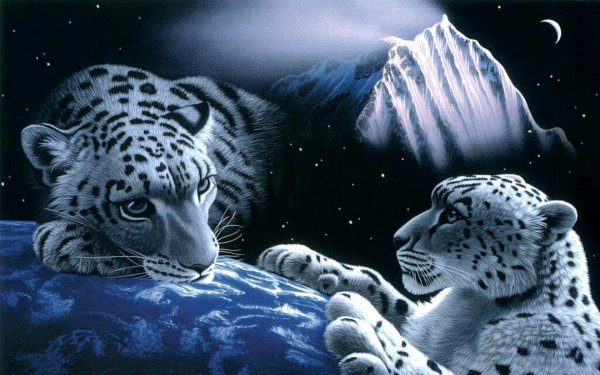 Снежный Барс на голубом фоне