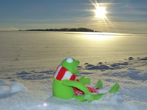 Зимний пляж