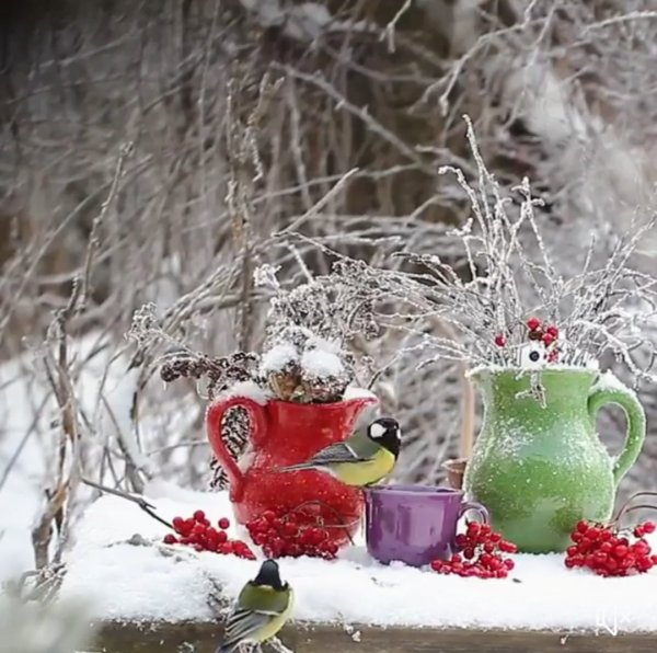 Чудесного морозного утра