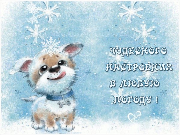 Отличного снежного настроения