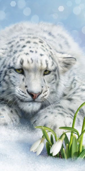 Белая Дикая кошка