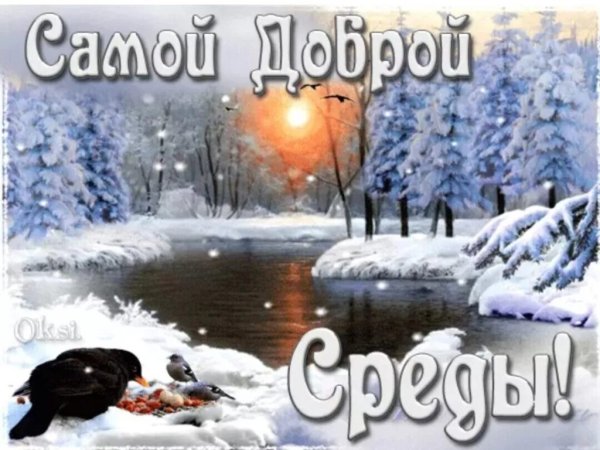 Доброгозимнегг утра среды