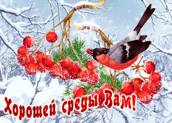 Доброго зимнего дня среды