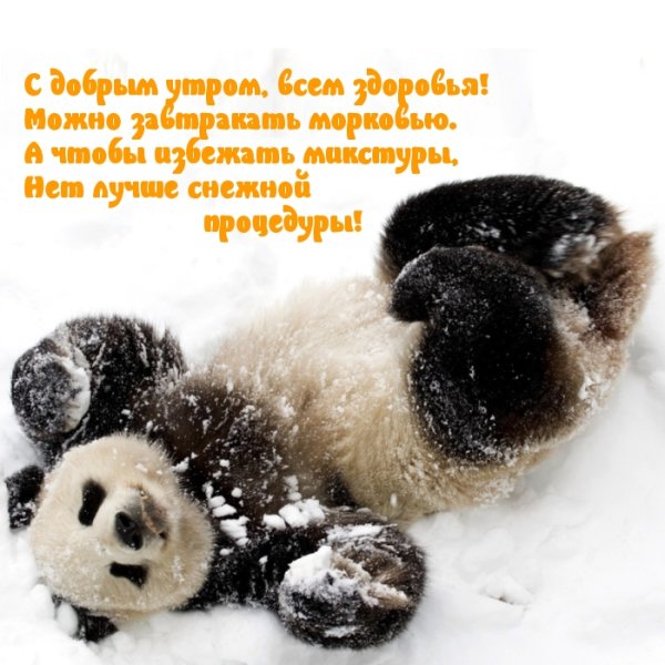 С добрым утром зимние прикольные и позитивные