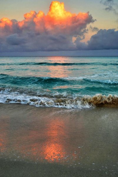 Шикарное море