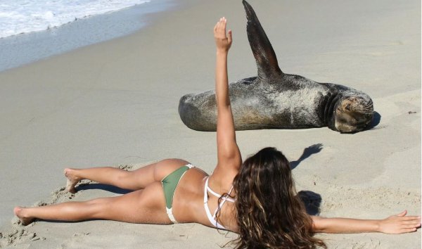 Забавные девушки на пляже