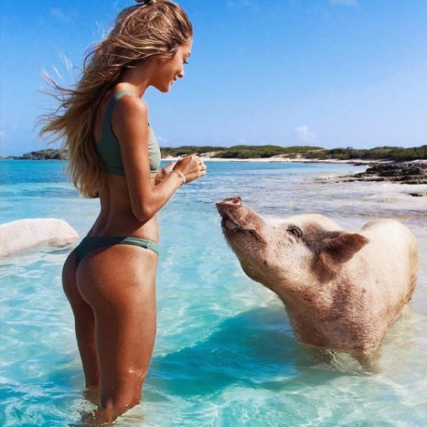 Красивые девушки на пляже