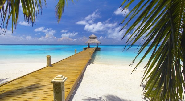 Багамы океан