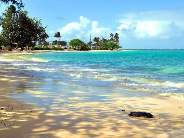 Красивый пляж на рабочий стол