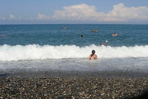Черное море Сочи Адлер
