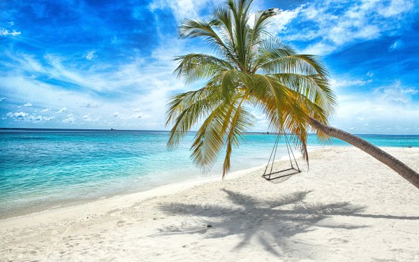 Пальмы солнце пляж