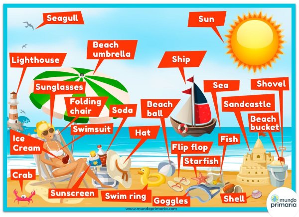 Beach Holiday Vocabulary
