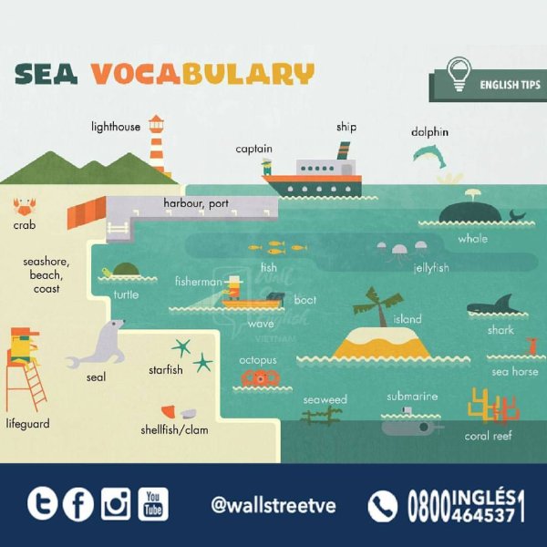 Лексика пляж на английском