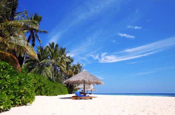 Острова с пальмами и белым песком