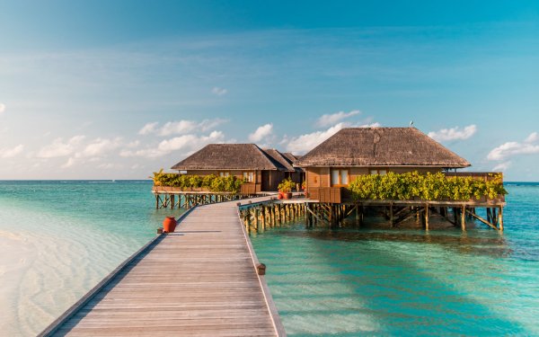 Мальдивы бунгало Пирс