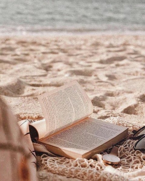 Лето с книгой