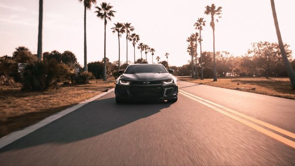 Машина и пальмы