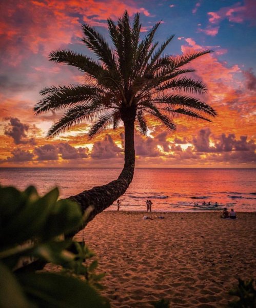 Гавайи Honolulu Sunset