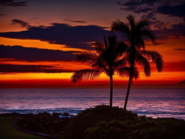 Гавайи Honolulu Sunset